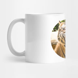 Bengal Tiger Roar Mug